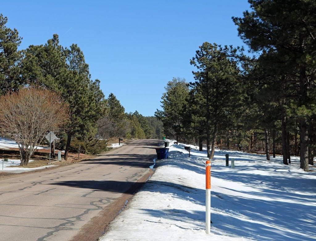Woodmoor Drive in Woodmoor, Colorado, lined with pine trees
