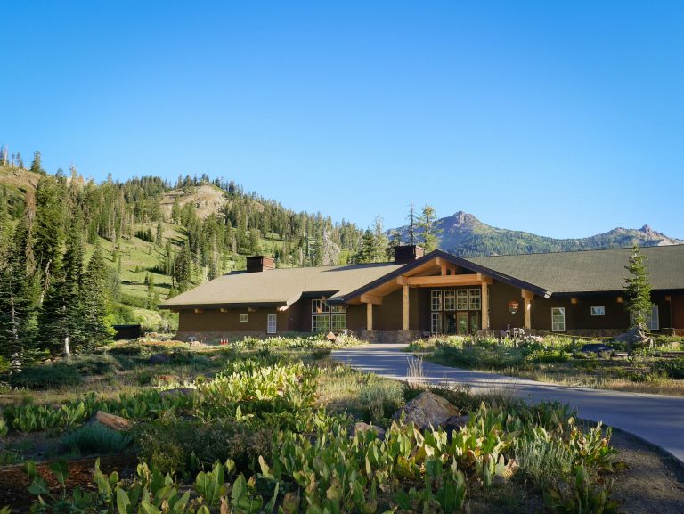 Modern lodge-style home set in a mountain forest